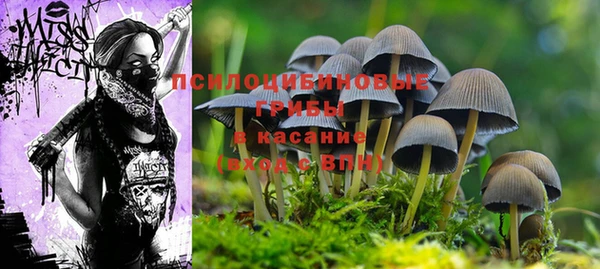 мефедрон мука Алексеевка