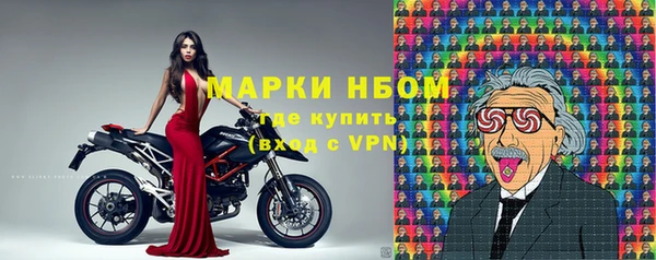 стаф Алзамай