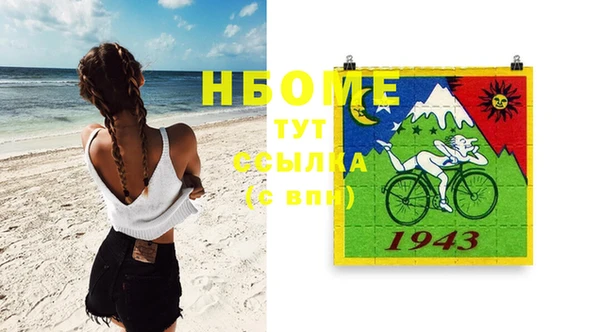 стаф Алзамай