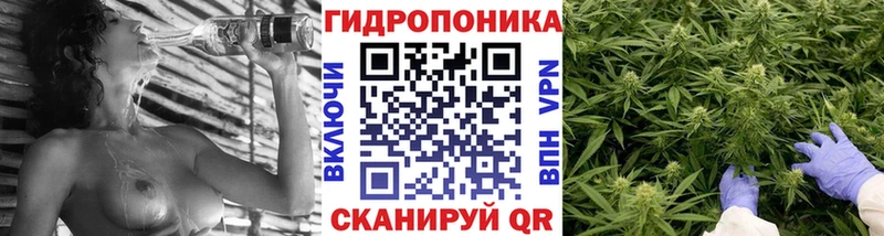 кракен рабочий сайт  как найти закладки  Жуков  Шишки марихуана гибрид 